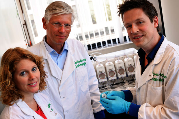Cultured heart valves stay in shape