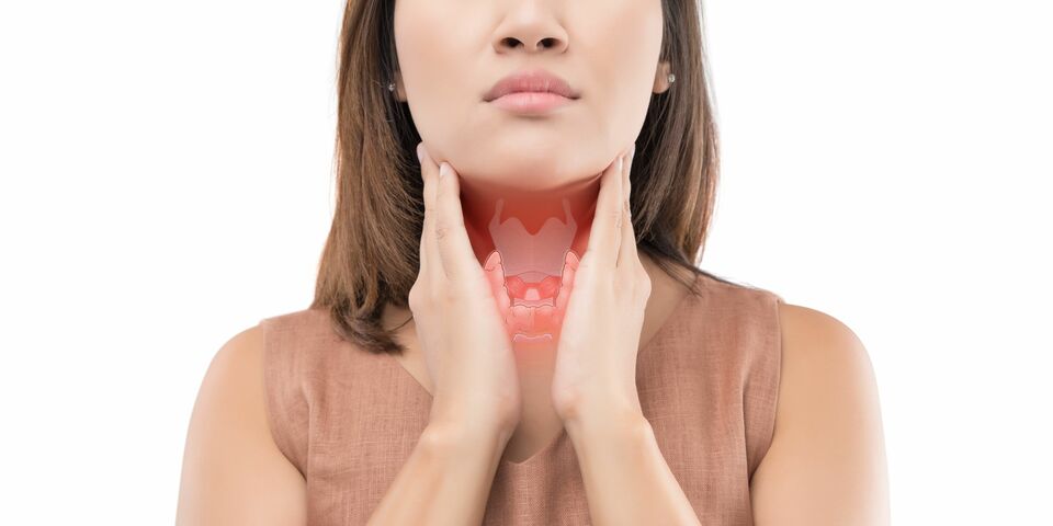 Foto | Shutterstock