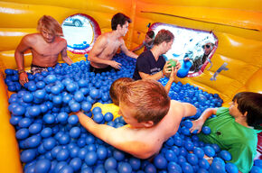 Ballenbak SSRE. Foto l Bart van Overbeeke