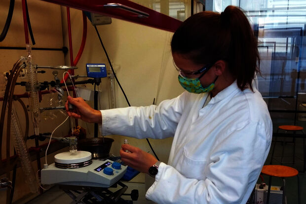 The homeworker revisited: doctoral candidate Brigitte