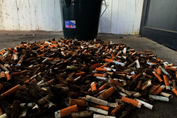Hundreds of cigarette butts cleared from campus