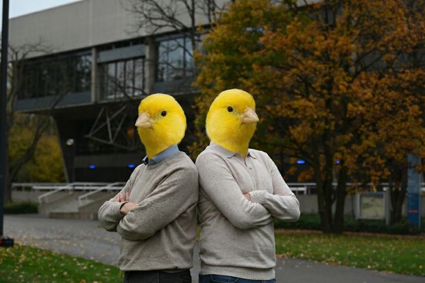 Verkiezingen: welke kanarie kies jij?