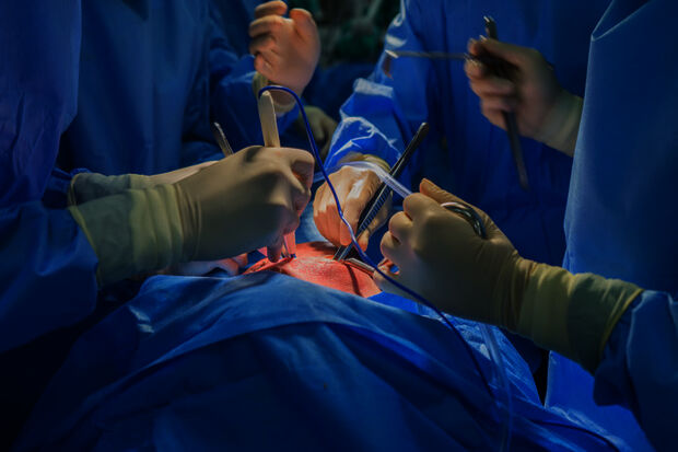 Pig heart or hybrid heart, which is worth our time?