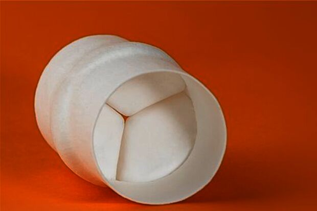 First Xeltis heart valves in humans