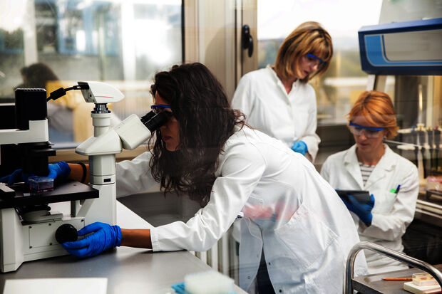 Executive Board: “Goals Irène Curie Fellowship program still achievable”
