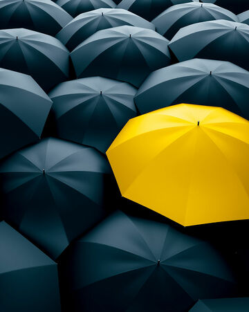 Foto | Shutterstock
