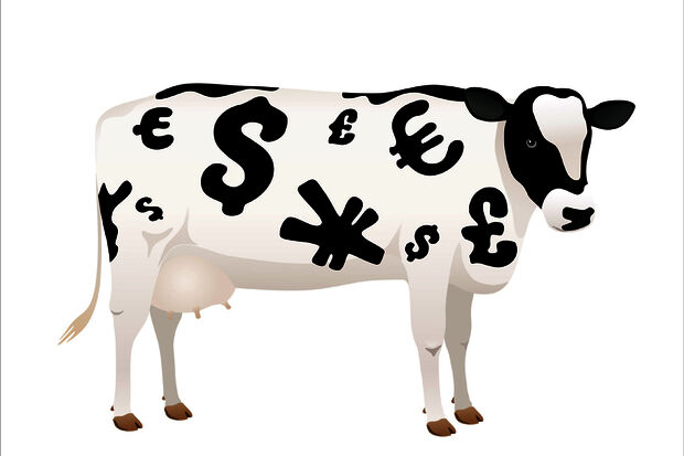 Why isn't anyone talking about the profits generated by foreign students?