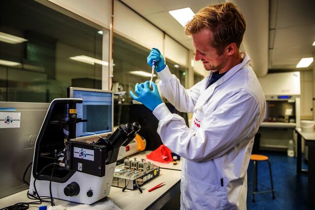 Weer toename tijdelijke contracten aan universiteit