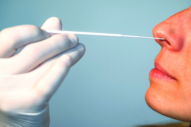 Three in ten students order free self-test