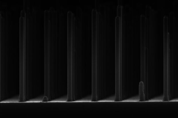  Nanowires give ‘solar fuel cell’ efficiency a tenfold boost