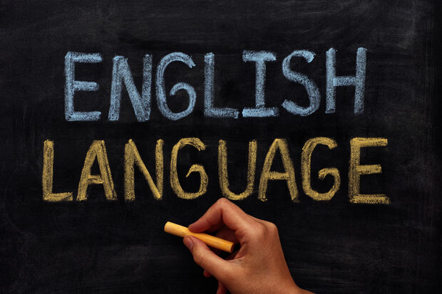'Don't underestimate the costs of introducing English’