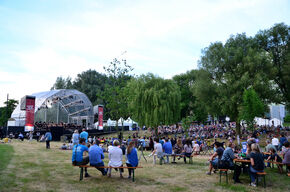 Muziek op de Dommel 2017. Foto | Satyaki Chaudhuri