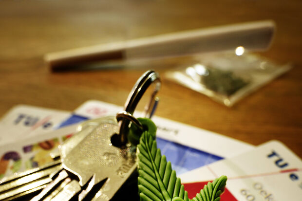 Getting a ‘higher’ education: Smoking weed at TU/e 