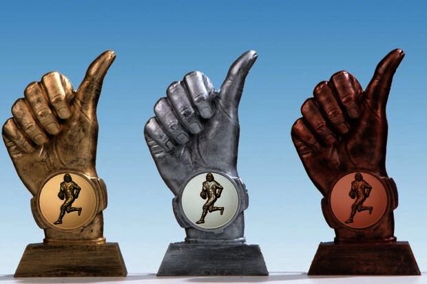 Medals for foreign student satisfaction