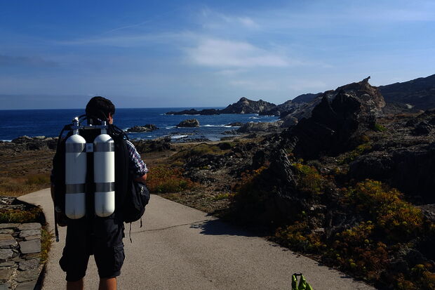 TU/e alumnus wins underwater film competition