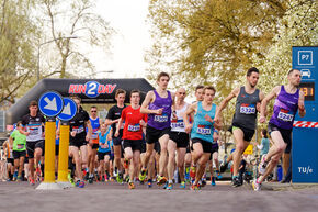 Dommelloop 2017. Foto | Bart van Overbeeke