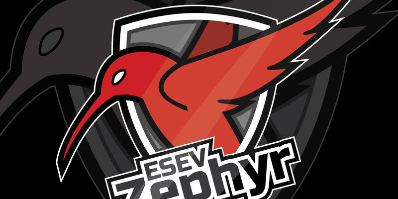 Het logo van Zephyr.