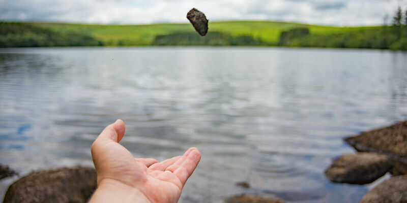 Bindend studieadvies: minister wilde steen in vijver gooien. Foto | Shutterstock