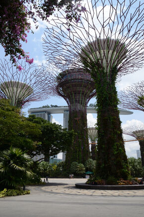 Gardens by the bay met uitzicht op Marina bay sands. Gardens by the bay met uitzicht op Marina bay sands.