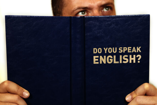 No action possible yet against English-language teaching, minister says