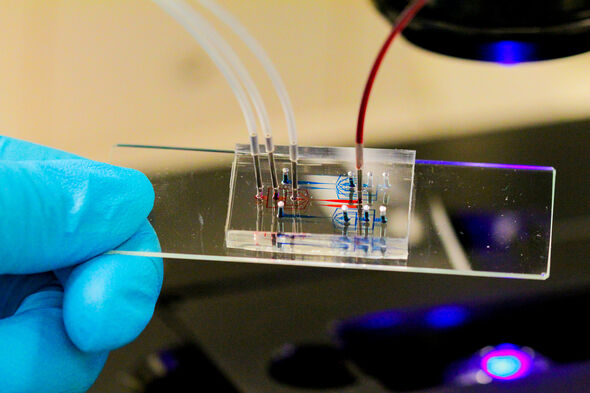 Microfluïdisch device gemaakt van polydimethylsiloxaan (PDMS). Foto | Jurjen Tel