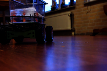 Fish on Wheels. Foto | Studio diip