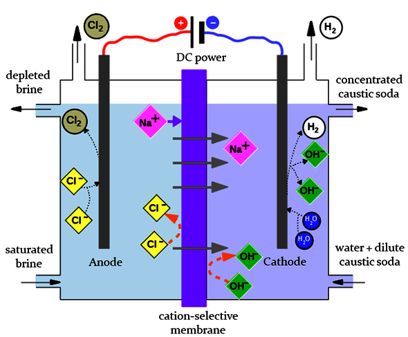 Schematische weergave van elektrolyse van een zoutoplossing. Afbeelding | Ria Sijabat