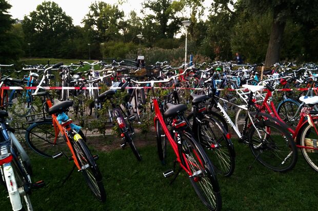 More bicycle racks - and one less tree