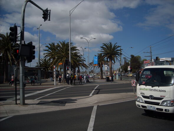 One of the streets in Melbourne full of palm trees. Photo | Victor Lam