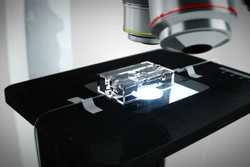 Een 'cancer on a chip' microsysteem onder de microscoop. Foto | Animation Studio van het Institute for Complex Molecular Systems