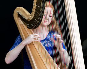 Harp. Foto | Maarten van den Beemt