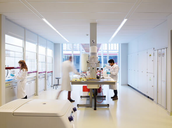 A lab in Ceres. Photo | Bart van Overbeeke