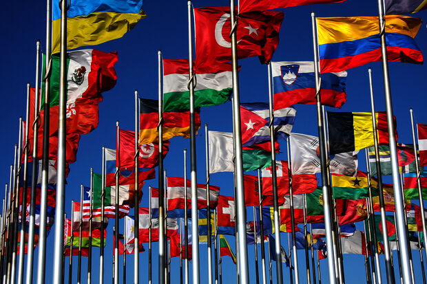 Growth of international student cohort slows