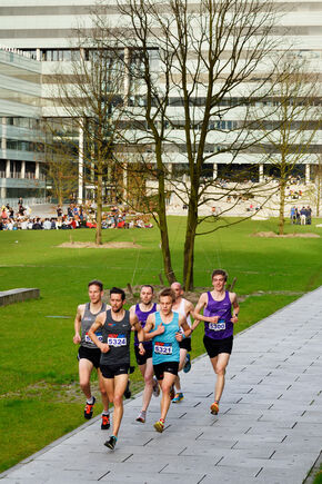 Dommelloop 2017. Foto | Bart van Overbeeke