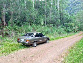 Facing the jungle with Fernando’s (flatmate) Chevette