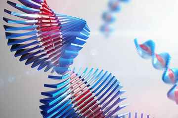 Cooperatieve zelfassemblage van kleurstoffen | Animatiestudio ICMS.