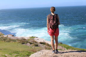 Bondi to Watson bay cliff walk.