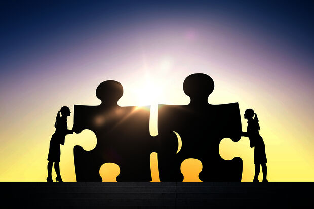 Executive Board wants to merge IMS and DML into one service