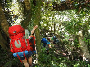 Tramping with the university's tramping club.