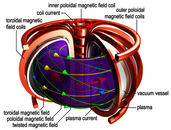 Tokamak fusion reactor. Illustration | Max Planck Institute for Plasma Physics 