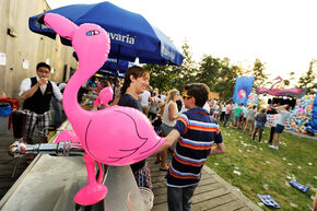 Eerder badderden de flamingo's in de TU/e-vijver. Foto | Bart van Overbeeke Eerder badderden de flamingo's in de TU/e-vijver. Foto | Bart van Overbeeke
