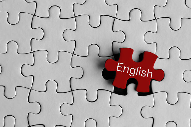 How do you assess the language of instruction in higher education?