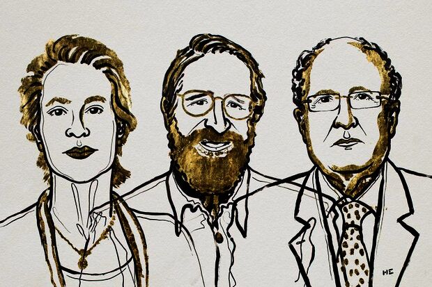 Nobel Prize for Chemistry goes to the directed evolution of proteins