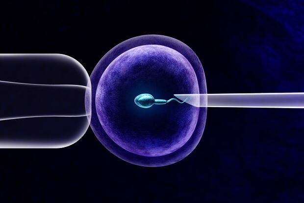 Measuring the outcome of IVF