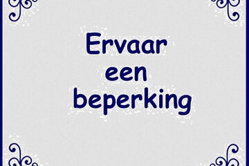 bussemaker beperking experiment bsa