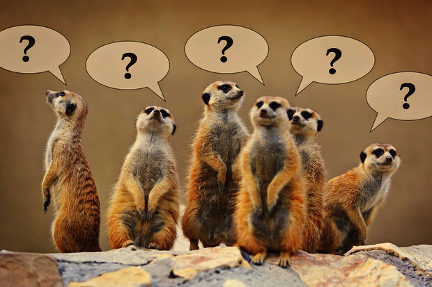 Misunderstandings over English-language teaching: what is the situation?