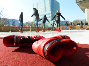 Schaatsen met de Wervingsdagen.