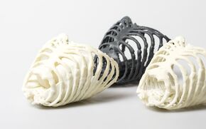 The printed rib cages. Photo | 3D Hubs