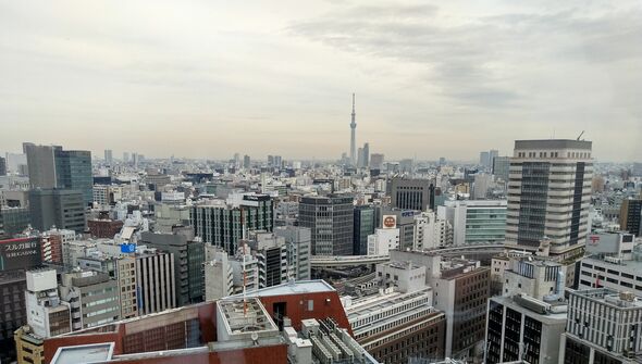 Uitzicht over Tokyo met op de achtergrond de Tokyo Sky Tree. Foto | Privéarchief Frank Westhoek