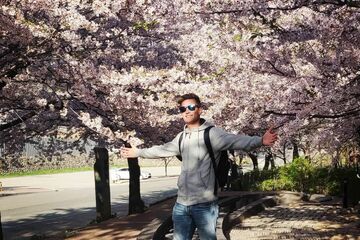 Cherry blossom-seizoen in Zuid-Korea. Foto | privéarchief Marthijn